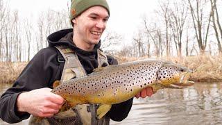 Creek Fishing for GIANT Trout