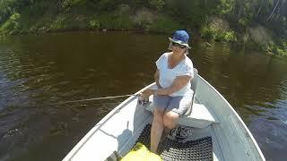 Personal Best Walleye Caught River Fishing Using Flicker Shads