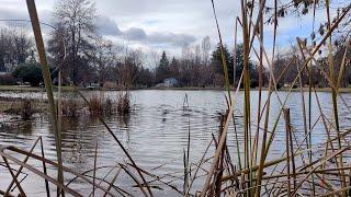 Градски парк Скопје  City park Skopje 4K 60fps