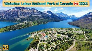 Waterton Lakes National Park of Alberta Canada 2022 - Top Attractions & Secret Locations #alberta