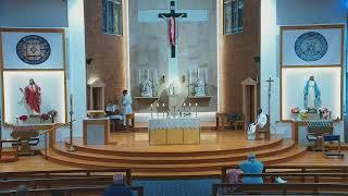 Catholic Mass for the 6th Week of Easter -  11 May 2024 - 8am