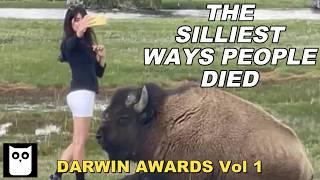 The Dumbest Ways People Have Died  Six Darwin Award Winners  Short Documentary