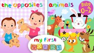 My First Words Collection  Animals and Opposites  Educational Series for Babies 0-2