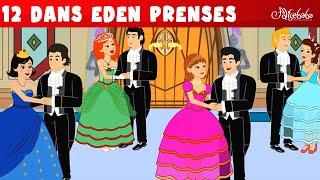 12 Dans Eden Prenses + 3 Dans Eden Prenses + Sindirella Külkedisi  Adisebaba Masallar