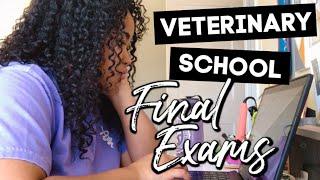 Vet School Week in My Life FINAL EXAMS