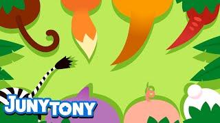 Tail Tail My Tail  Animal Song for Kids  Did You Ever See My Tail?  Kids Song  JunyTony