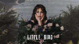 Miley Cyrus - Little Bird Unreleased