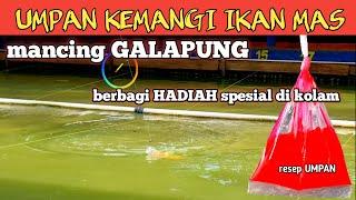 mancing galapung ikan mas dengan umpan KEMANGI sekalian berbagi HADIAH dikolam‼️ #GP-92