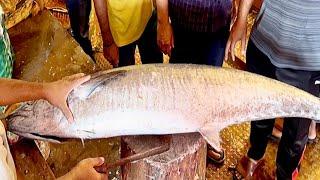 21 Kg Giant Seer Fish Cutting In Bangladesh Fish Market  Fish Cutting Video