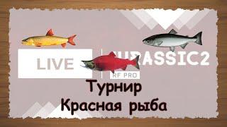 Русская Рыбалка 3.99 Турнир Красная рыба - стрим 2021.04.30 Jurassic2