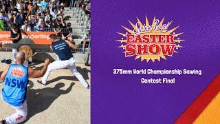 375mm World Championship Sawing  Contest Final - 8 April