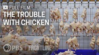 The Trouble with Chicken full documentary  FRONTLINE