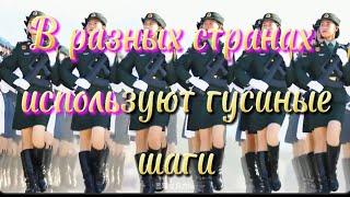 В разных странах используют гусиные шаги #война   #рек #top #мир #война #военное #автомат #оружие