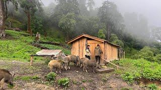 Most peaceful and relaxing Village Environment  Living with Nature in Rain