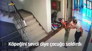 Köpeğini sevdi diye çocuğa saldırdı