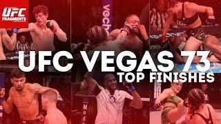 UFC VEGAS 73 HIGHLIGHTS UFC VEGAS 73 TOP FINISHES