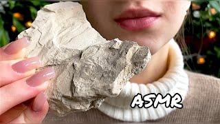 Туркестан белыйTurkestan white ASMR TAPPING ASMR CRUNCH