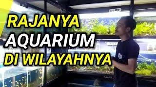 Aquarium Terlengkap Salatiga - Review Tresnow Aquarium