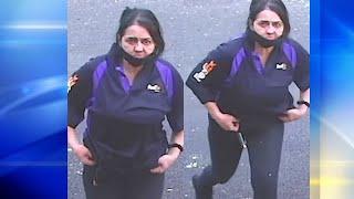 Woman posing as FedEx worker stole packages worth hundreds from Mount Washington neighborhood  WPXI