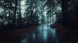 Nature Walk in Thunderstorm 4K  Binaural Rain on Umbrella for Sleep & Study ASMR