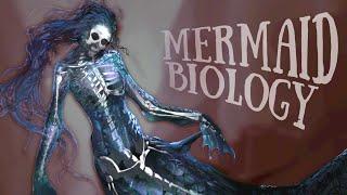 Mermaid Biology Explained  The Science of Merfolk