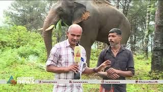 വട്ടംചുറ്റിച്ച അരിക്കൊമ്പൻ അനുഭവം പങ്കുവെച്ച് കോന്നി സുരേന്ദ്രന്റെ പാപ്പാൻ  Mission Arikomban