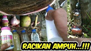 Racikan Perangsang Getah Karet Paling Ampuh