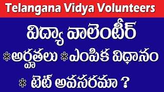 Vidya Volunteers Educational Qualification & Selection Process