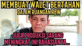 Ada cara agar walet cepat berkembang biak dalam ruangan rbw