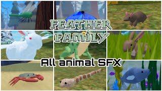 All Feather Family Animal SFX