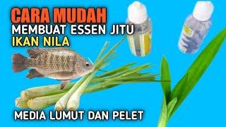 CARA MUDAH MEMBUAT ESEEN JITU  IKAN NILA