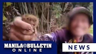 Viral video of Philippine tarsiers being disturbed in their habitat