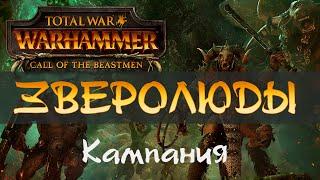 Total War Warhammer - ЗВЕРОЛЮДЫ  Прохождение кампании