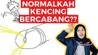 NORMALKAH SAAT KENCING BERCABANG?? SPLIT STREAM URINATION BUANG AIR KECIL PIPIS BERCABANG