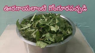 #ఊరగాయలాఉండేగోంగూరపచ్చడి#GongooraPachchadi#TasteySorrelLeafPickle#கோங்குராபச்சடி.