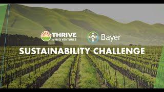 THRIVE  Bayer Sustainability Challenge