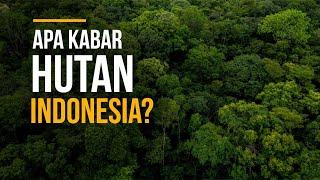 Hari Hutan Sedunia Mengintip Nasib Hutan di Indonesia dan Apa yang Mesti Kita Lakukan