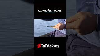 Steve Whitfield explains his thinking on the method feeder and how he fishes it