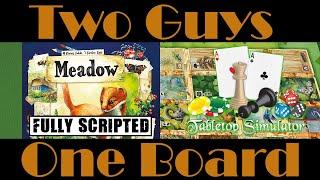 Two Guys One Board Meadow  Tabletop Simulator  How to Play and Playthrough