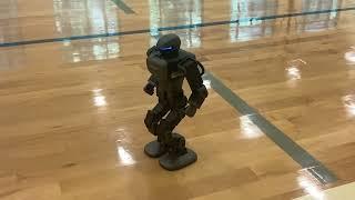 Robosen K1 Robot Voice Commands