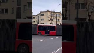 Kaunas XXXtra LONG Buses  