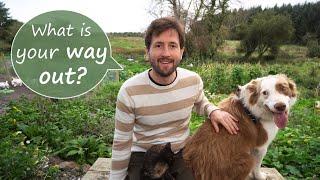 How I Quit The Rat Race  Six Ways To Start A Smallholding