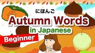 Top 10 Autumn Words in JapaneseChestnut Pumpkin Autumn leaves  Red dragonfly Halloween etc