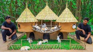 Rescue rabbit build hut for rabbit care