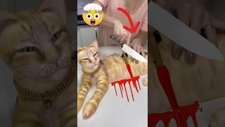 Cutting Pussy Cat  #viral #cat #youtubeshorts