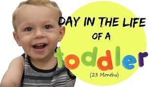 DAY IN THE LIFE OF A TODDLER 23 Months