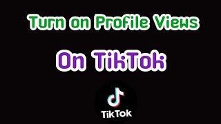 How to Turn On Profile Views On TikTok  Fix TikTok Profile View Option