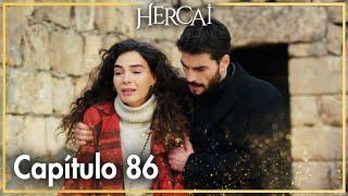 Hercai - Capítulo 86