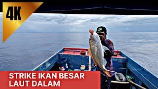 PERTAMA KALI MANCING DI SPOT YANG LAMA TIDAK DI KUNJUNGLANGSUNG STRIKE 3 EKOR IKAN BESAR