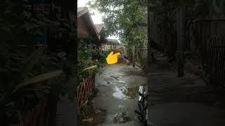 hanya orang yang bersi hatinya yg dapat melihat #shortvideo #shortsfeed #hantu